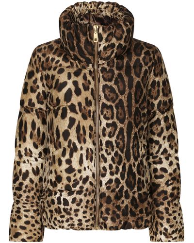 Dolce & Gabbana Wattierte Jacke aus Nylon mit Leoparden-Print - Braun
