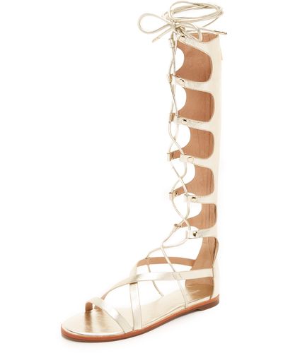 Rachel Zoe Indy Tall Gladiator Sandals - Metallic