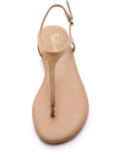 Splendid Mason T Strap Thong Sandals - Caramel - Natural