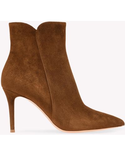 Gianvito Rossi Levy 85, Booties - Brown