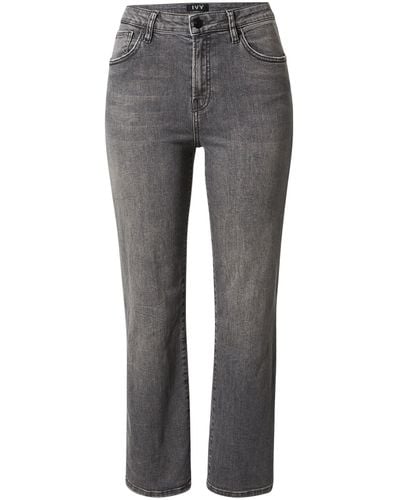 IVY Copenhagen Jeans - Grau