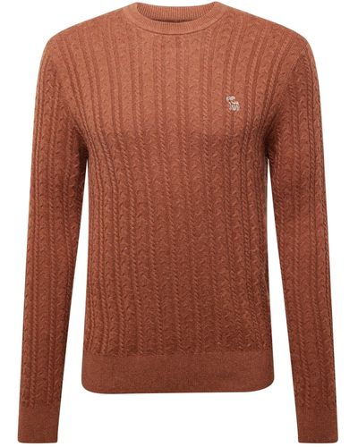 Abercrombie & Fitch Pullover 'holiday' - Braun