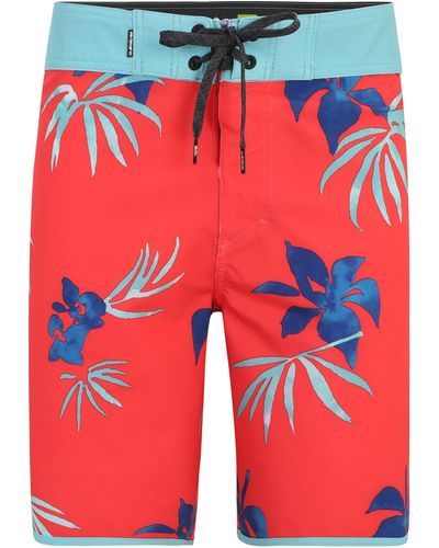 Quiksilver Boardshorts 'scallop 18' - Rot
