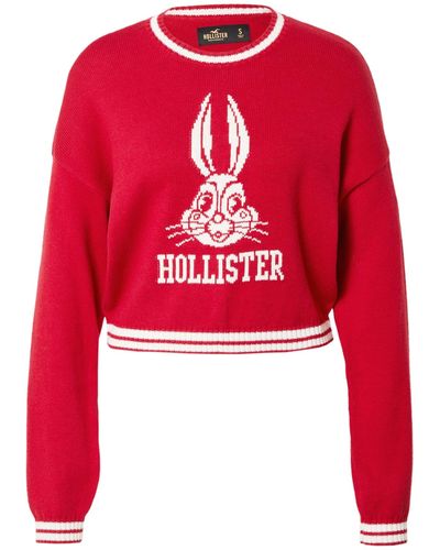 Hollister Pullover - Rot