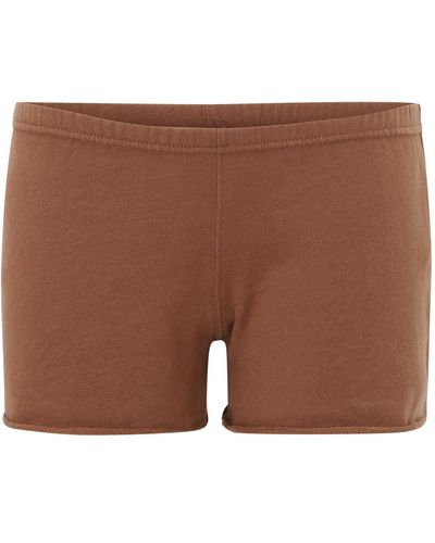 Hollister Shorts 'terry' - Braun