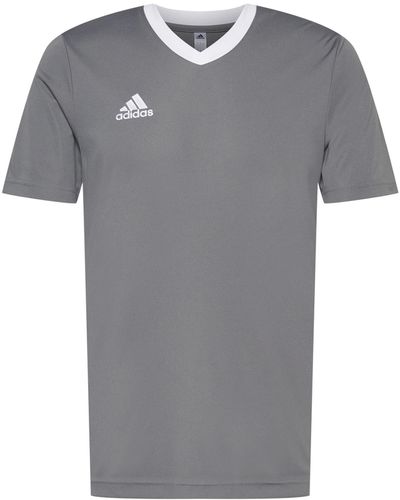 adidas Sportshirt 'entrada 22' - Grau