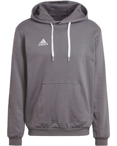 adidas Entrada 22 Sweat - Grau