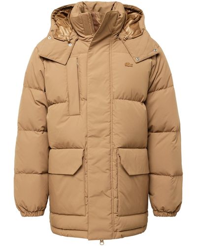 Lacoste Jacke - Natur