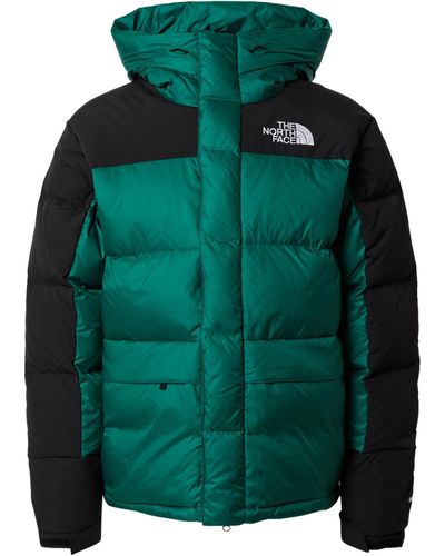 The North Face Himalayan Inspired Winterjacke - Grün