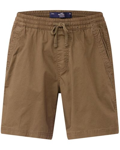 Hollister Shorts - Mehrfarbig