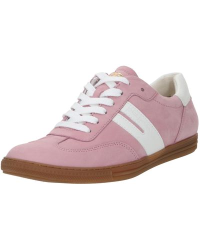 Paul Green Sneaker - Pink