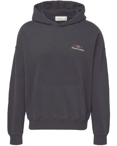 Abercrombie & Fitch Sweatshirt - Grau