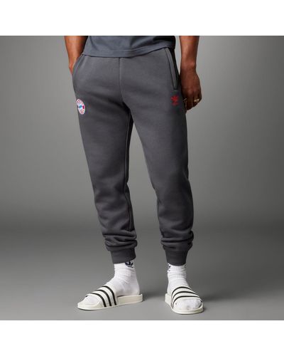 adidas Pantaloni Essentials Trefoil FC Bayern München - Grigio