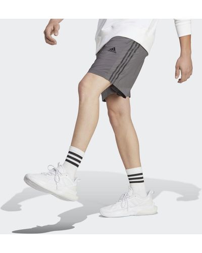 adidas Aeroready Essentials Chelsea 3-Stripes Shorts - Blanc
