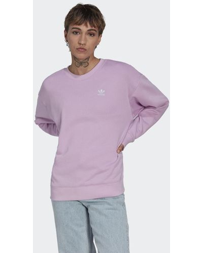 adidas Graphic Sweatshirt - Paars