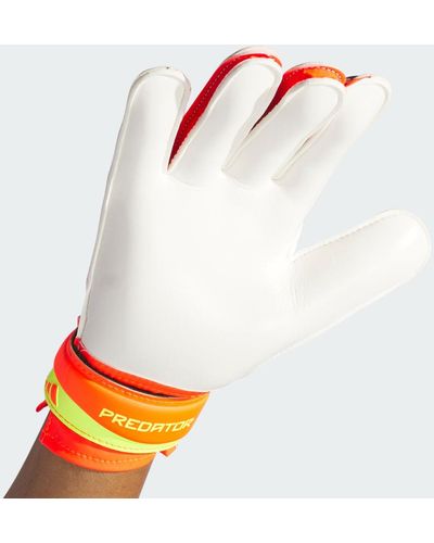 adidas Gants de gardien Predator Training - Orange