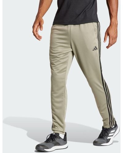adidas Pantaloni da allenamento Train Essentials 3-Stripes - Grigio