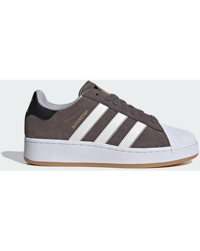 adidas Superstar Schoenen - Bruin