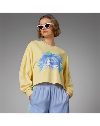 adidas Crew Graphic Sweatshirt - Geel