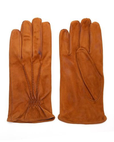 Barba Napoli Ocher Gloves - Brown