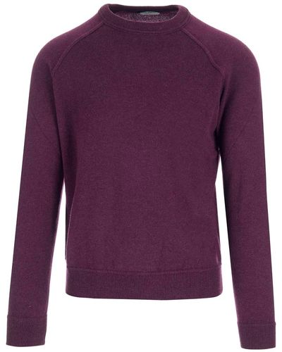 Al Duca d'Aosta Burgundy Sweater - Purple