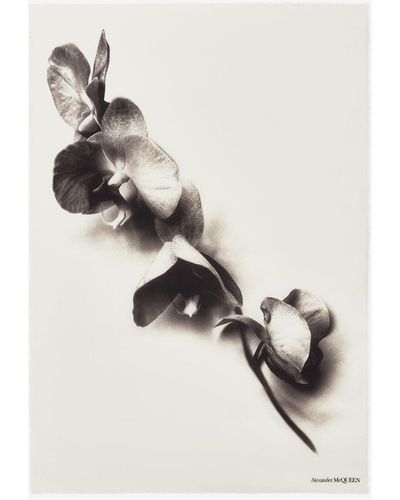 Alexander McQueen White Orchid Stem Shawl - Multicolor