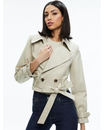 Alice + Olivia Hayley Cropped Trench Coat With Belt - Natural