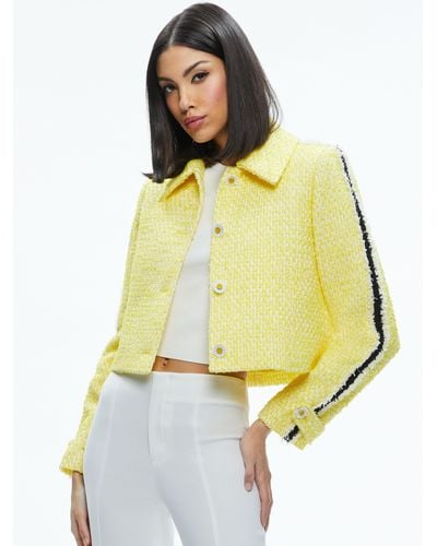Alice + Olivia Tammy 50s Style Jacket - Yellow