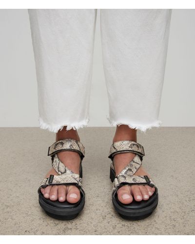 AllSaints Women's Atlanta Leather Snake Effect Sandals - Grey