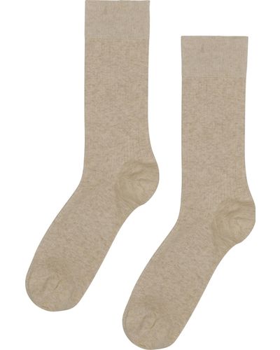 COLORFUL STANDARD Classic Organic Sock - Natural