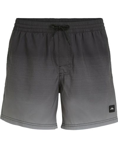 O'neill Sportswear Cali Gradient Volley Swim Shorts 15'' - Grey