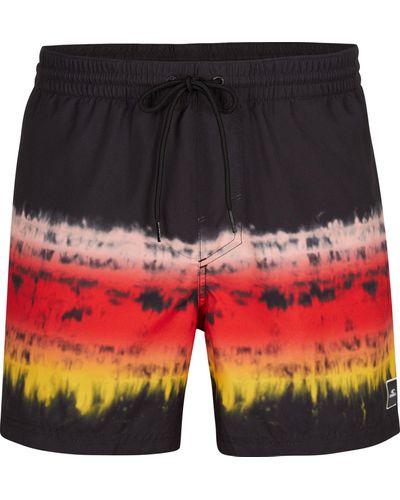 O'neill Sportswear Horizon 15 In Swim Shorts - Multicolour