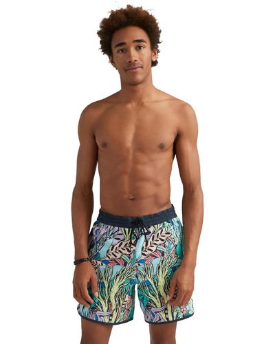 O'neill Sportswear Scallop Ocean 16'' Volley Short - Multicolour