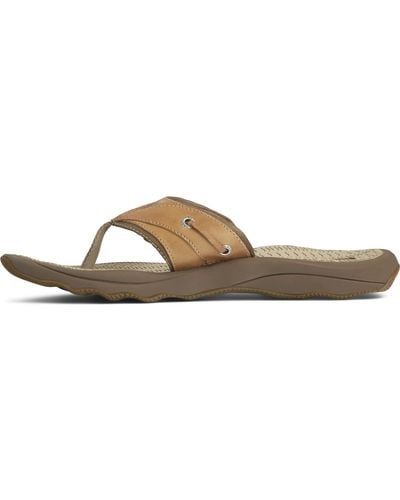 Sperry Top-Sider S Outer Banks Thong Sandals, Tan, 12 - Brown