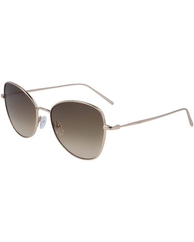 DKNY Dk104s Butterfly Sunglasses - Brown