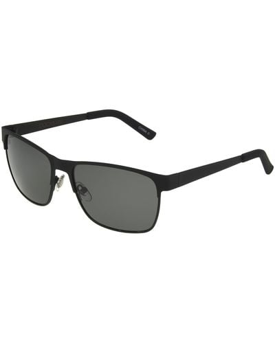 Dockers Colton Sunglasses Polarized Navigator - Black