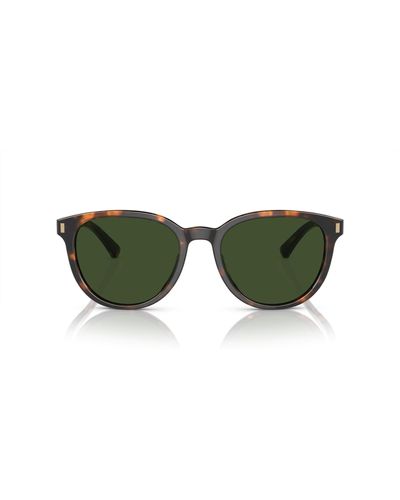 Brooks Brothers Bb5050u Universal Fit Round Sunglasses - Green