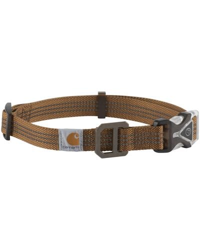 Carhartt Fully Adjustable Nylon Webbing Collars For Dogs - Brown