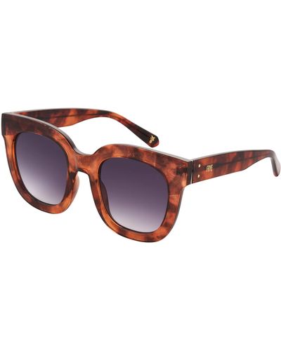Frye Sunglasses for Women, Online Sale up to 43% off