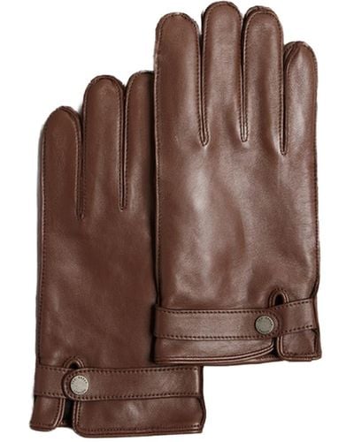 Ted Baker Alexxs Brown Leather