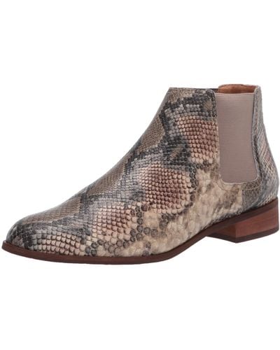 Frye And Co. Mila Chelsea Boot - Brown