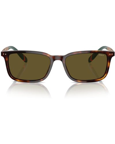 Polo Ralph Lauren Ph4212 Sunglasses - Green