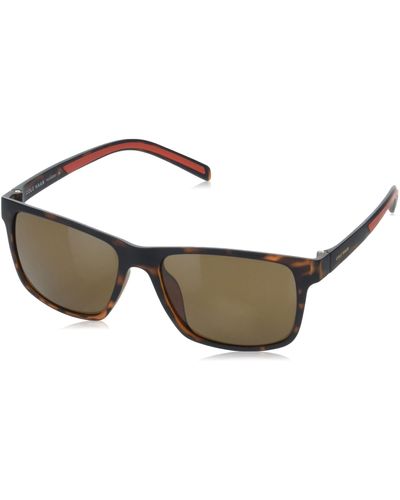 Cole Haan Ch8023 Polarized Rectangular Sunglasses - Black