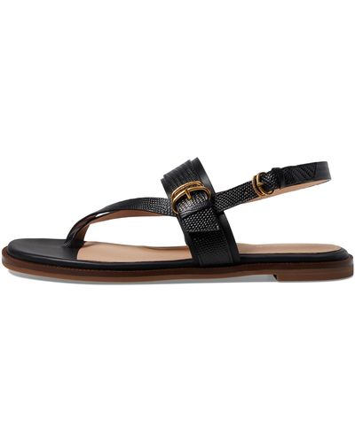 Cole Haan Anica Lux Buckle Sandals Flat - Black