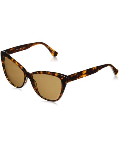 Joe's Jeans Jj 1007 Cat Eye Fashion Designer Uv Protection Sunglasses Cateye - Brown