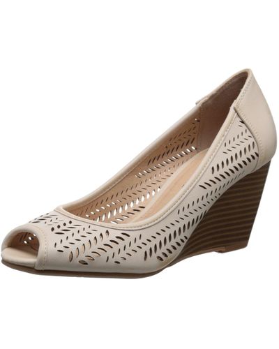 cl by laundry wedge pump