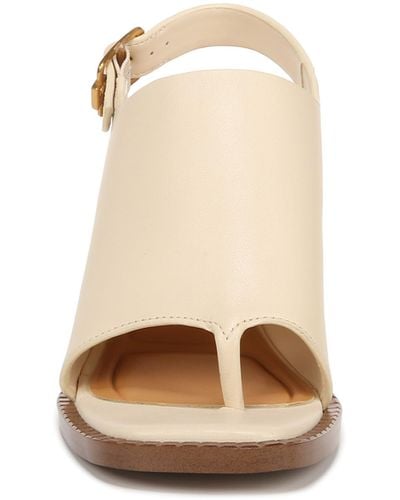 Franco sarto shop atlas bootie