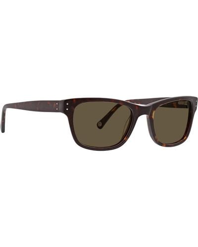 Life Is Good. Newport Polarized Square Sunglasses - Brown