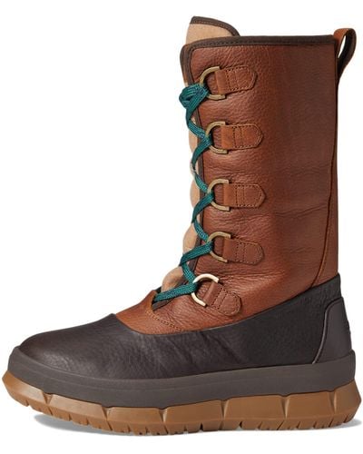 Sperry Top-Sider Winter Boot - Brown