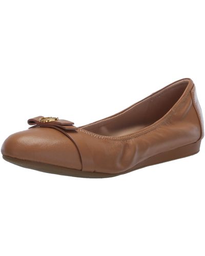 Bailarinas Cole Haan Tova Bow | Punta Redonda | Cuña Baja | Suela De Goma | Cómodas Y Elegantes Para Mujer